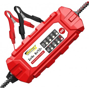 VIEDAIS AKUMULATORA LĀDĒTĀJS "6-STEPS"