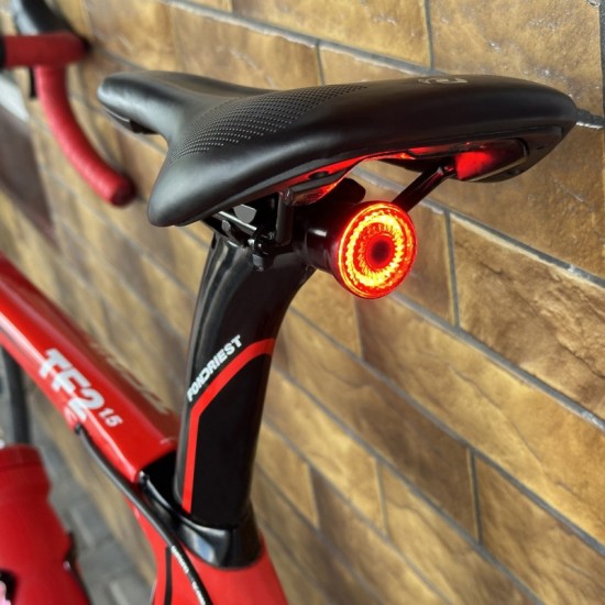 UZLĀDEJAMAIS AIZMUGURES LUKTURIS