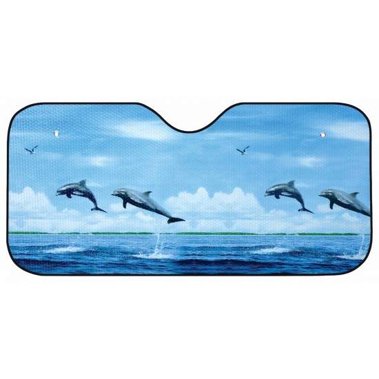 Auto vējstikla pārsegs 