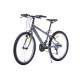 Vīriešu velosipēds 24'' ''TORINO', pelēks