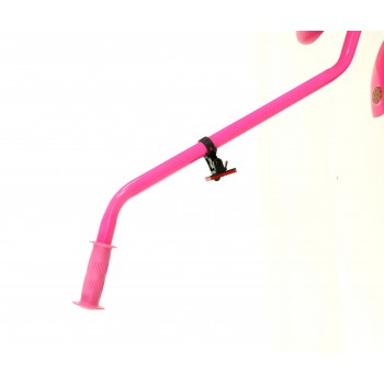 Meiteņu velosipēds 12" rozā ar kūciņu un saldumu dizainu