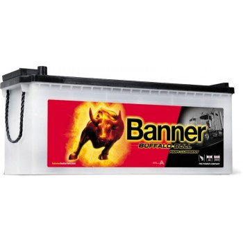 BANNER BUFFALO BULL akum. 12V 150Ah 1150 A 514x189x195/220mm