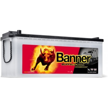 BANNER BUFFALO BULL SHD akum. 12V 180Ah 1400A 514x223x195