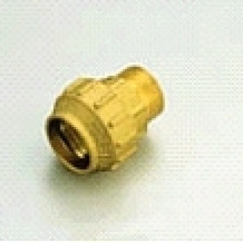 Misiņa pāreja ar ārējo vītni