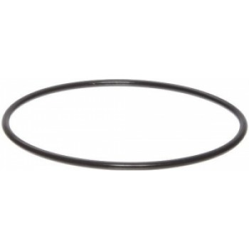 Blīvgredzens filtra korpusam