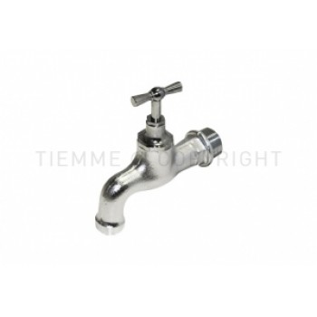 Gala ventilis, hromēts