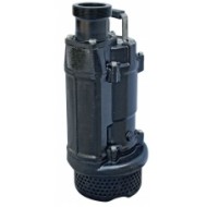 Iegremdējamais sūknis SK