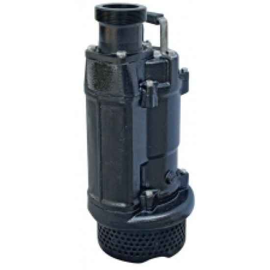 Iegremdējamais sūknis SK